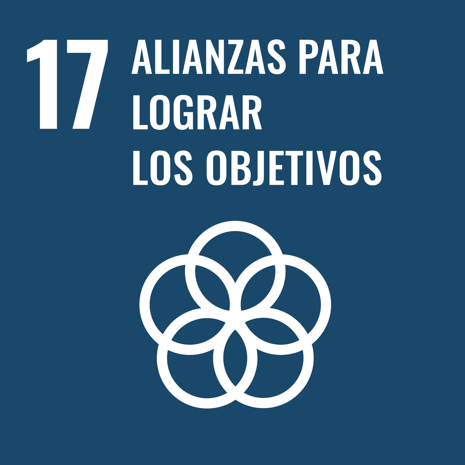 ODS 17 Alianzas para lograr los objetivos